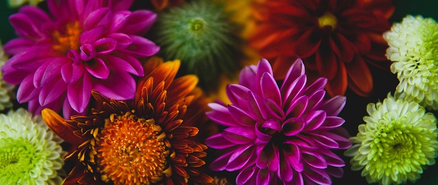 尤文图斯官方宣布：莫塔下课，图多尔接任主教练.